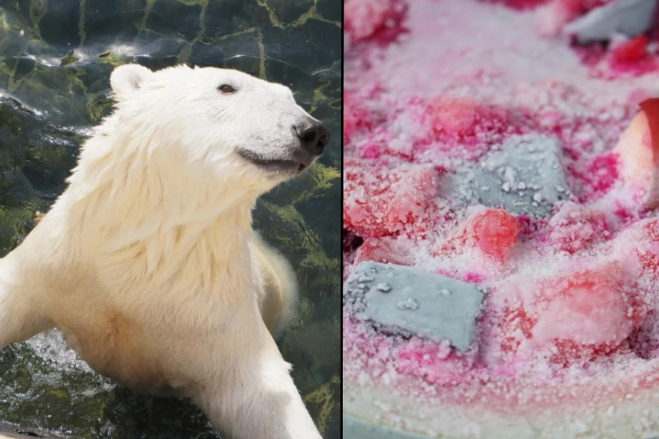 В Ленинградском зоопарке животные как могут спасаются от жары. Фото: instagram.com/spbzoopark