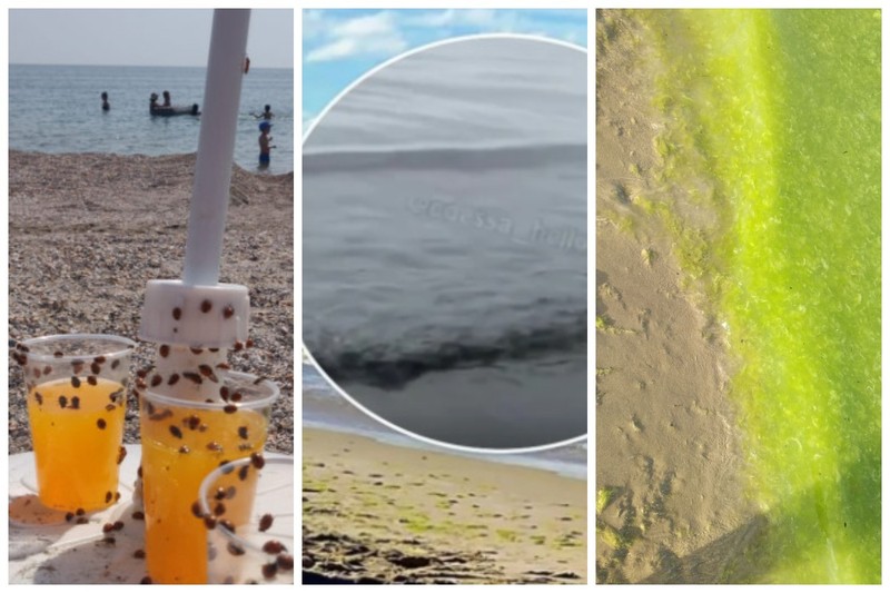 Так сейчас на побережье Черного моря в Констанце, Одессе и Несебре.