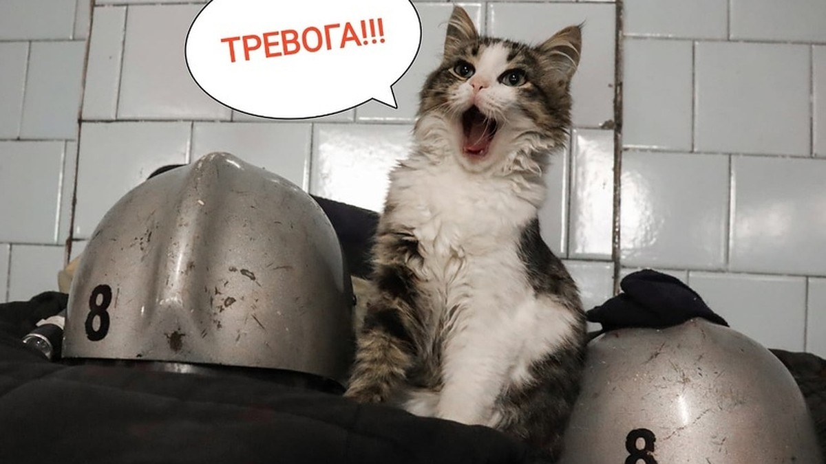 Опера порно көру