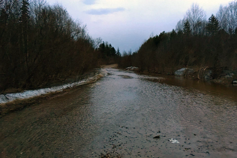 Дорога в поселок Боровой (Красноярский край, Лесосибирск) в 2018 году. Фото: Наталья ПРОКОПЬЕВА