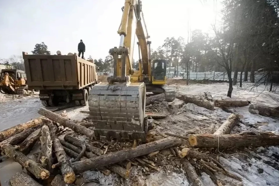 В Челябинске продолжаются споры о судьбе городского бора