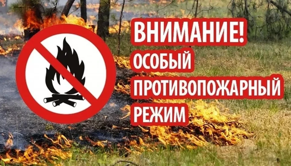 На период действия особого противопожарного режима запрещено разводить костры в лесных массивах. Фото: mchs.gov.ru