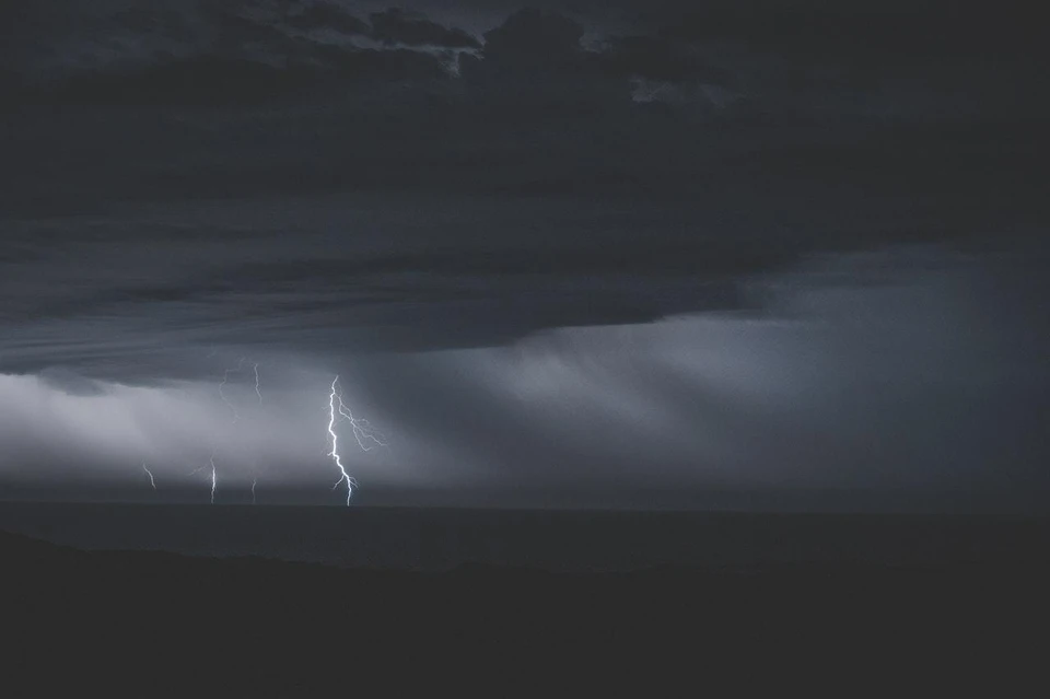 Фото: pexels.com