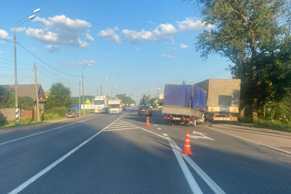 В аварии пострадал водитель фургона. Фото: УГИБДД по Тверской области.