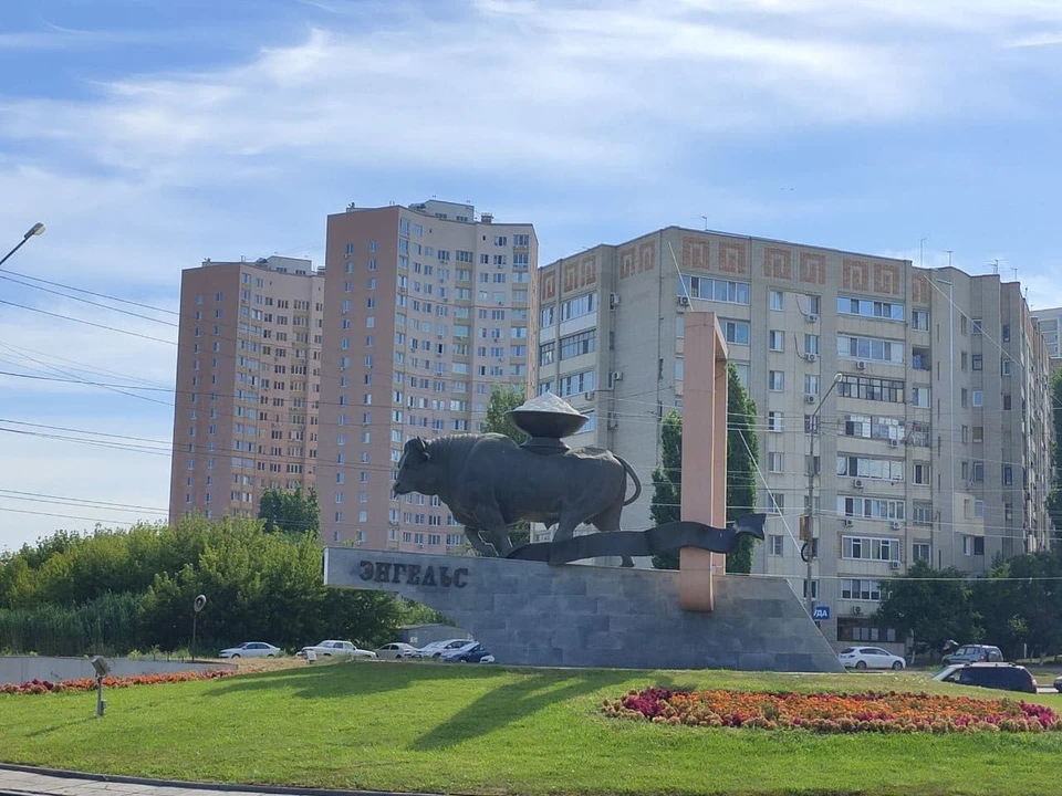 В Энгельсе нашли живого младенца на улице