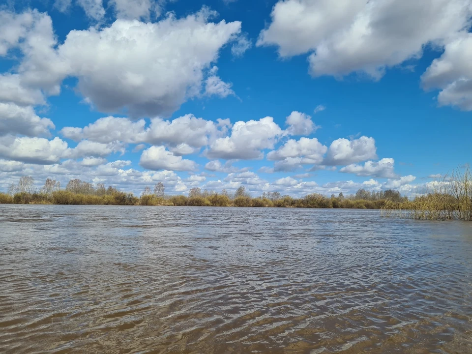 В водоемах Нягани и Октябрьского района нашли кишечную палочку