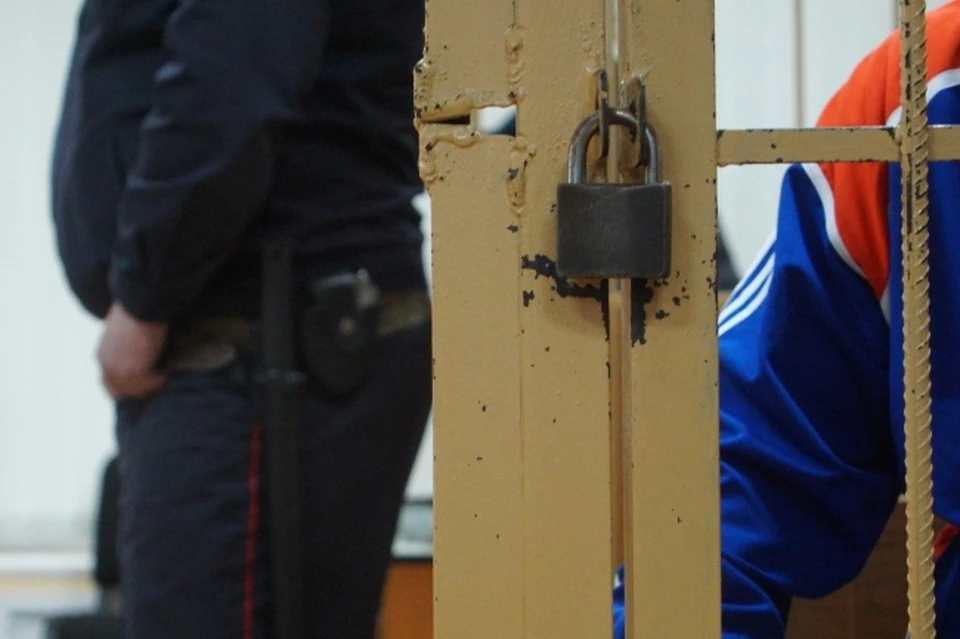 На время следствие подозреваемого посадили в СИЗО