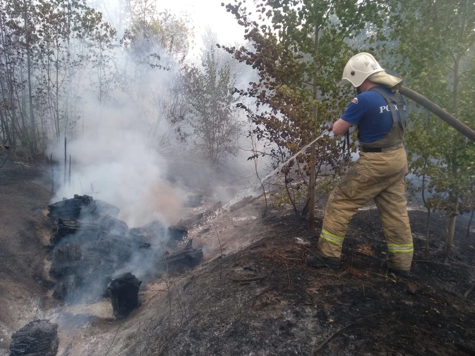Крупный лесной пожар тушат в Тольятти. Фото - ГУ МЧС России по Самарской области