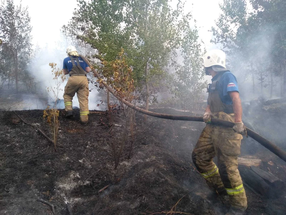 В Тольятти тушат лесной пожар