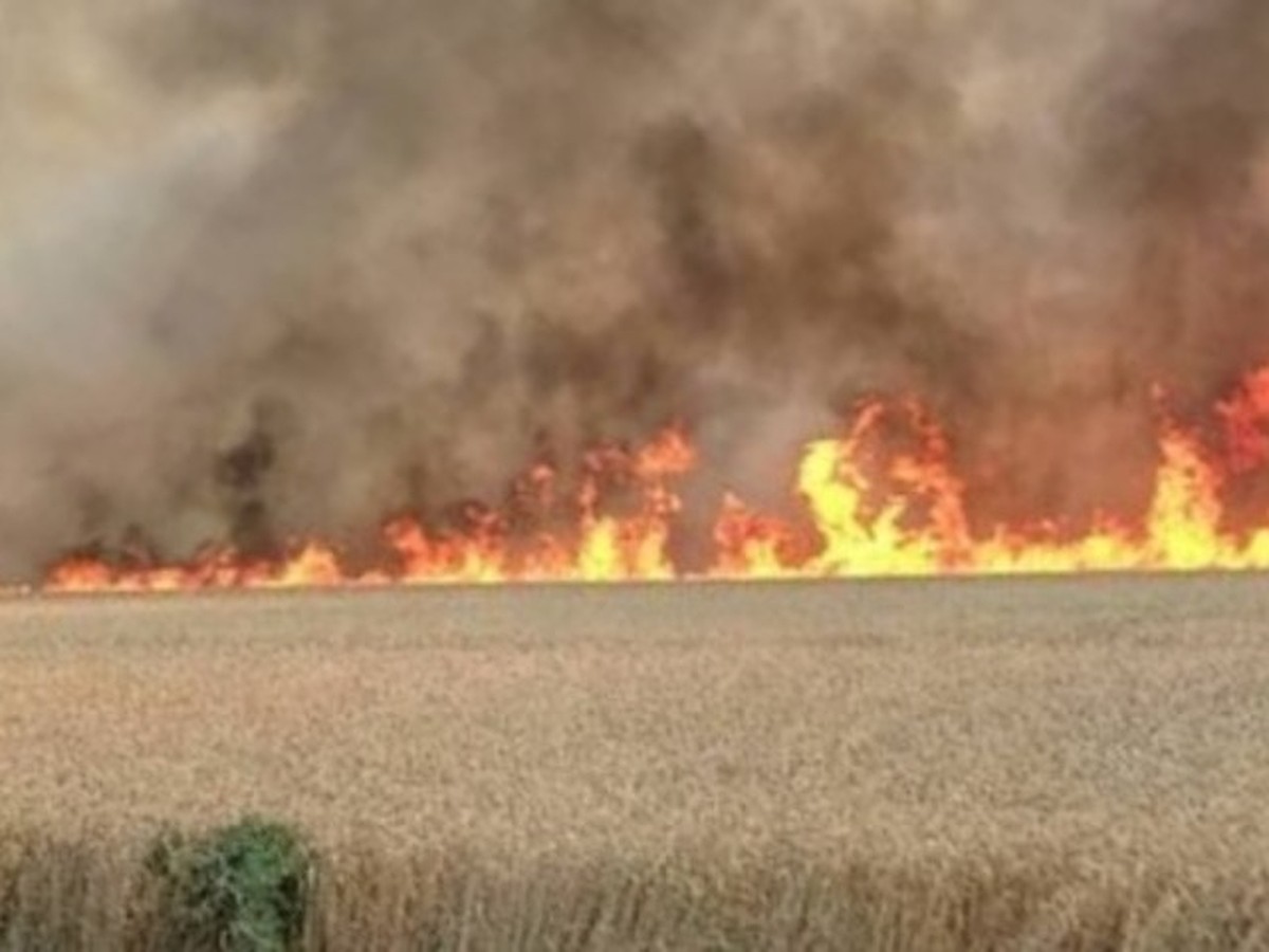 В Ставропольском крае горят поля и машины: дым виден за несколько  километров - KP.RU