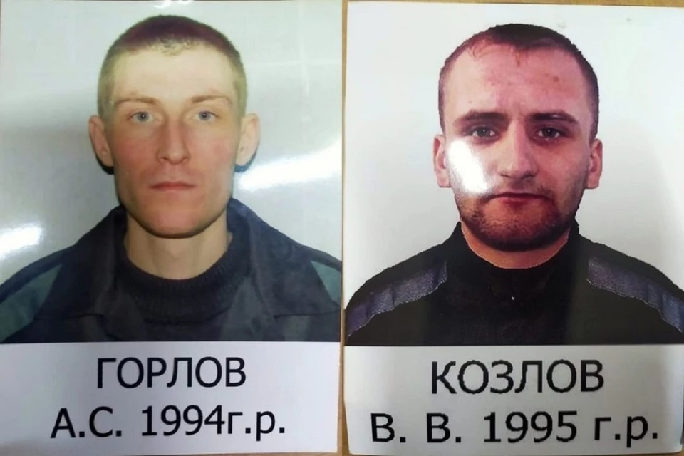 О побеге стало известно 12 июля. Фото: ГУФСИН.