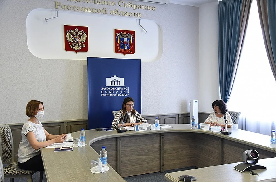 Депутаты помогут донским муниципалитетам в получении президентских грантов на проекты в сфере культуры. Фото: пресс-служба ЗС РО