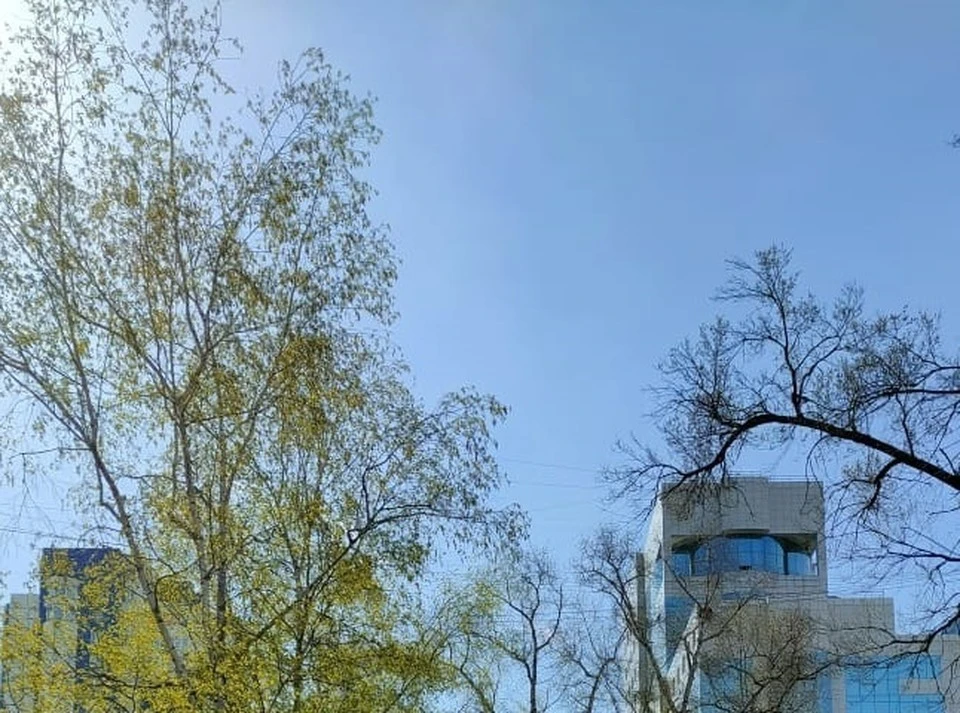Погода в Хабаровске 19 июля 2021: ожидается 33-градусная жара