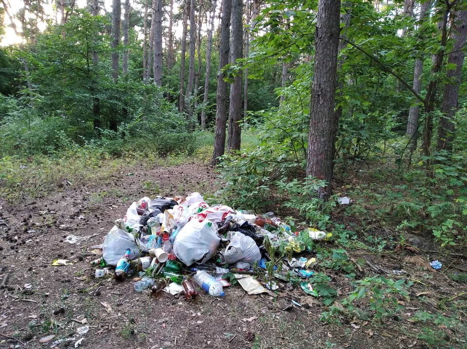На острове убрали мусор