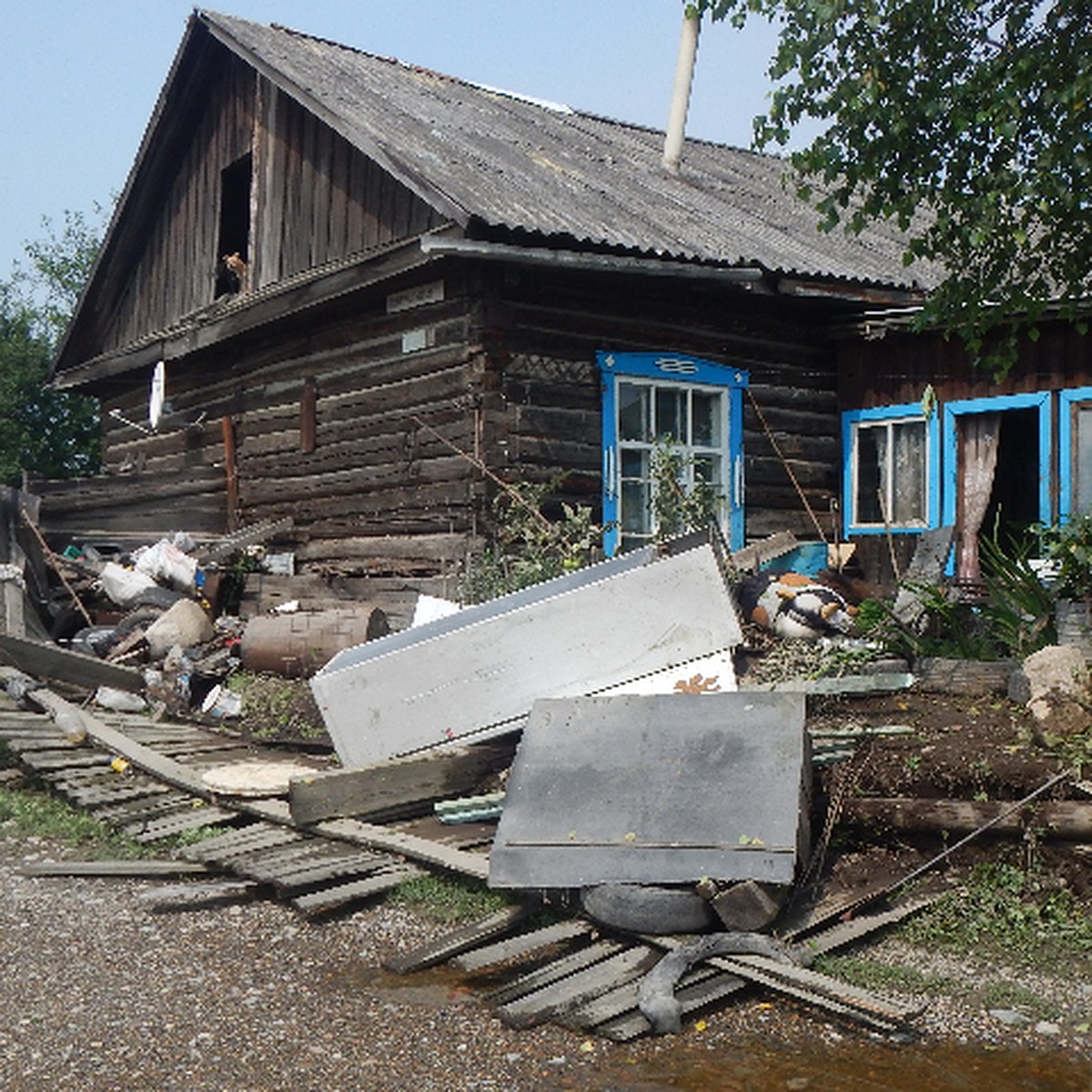 Собаки на крышах и разрушения: спасатели показали последствия наводнения в  Хабаровском крае - KP.RU