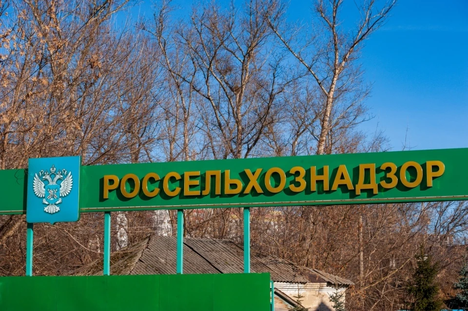 Орловское предприятие выпускало голубцы с кокцидиостатиком