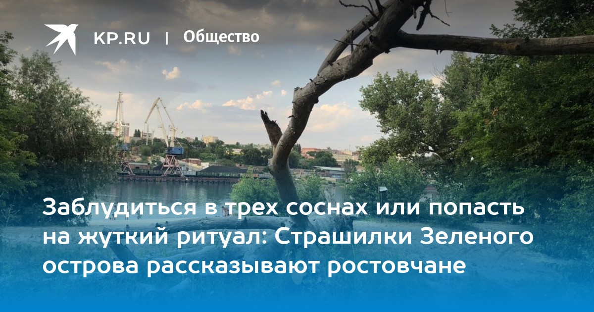 Заблудиться в трех соснах картинка для детей