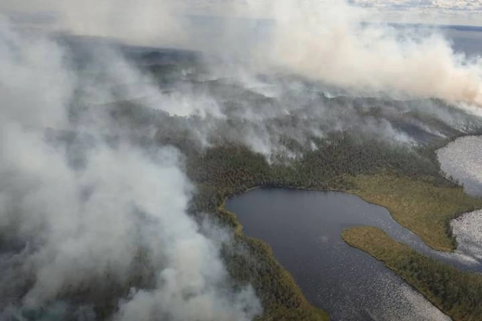 Лесной пожар в Карелии охватил 9 тысяч гектаров / Фото: МЧС Карелии