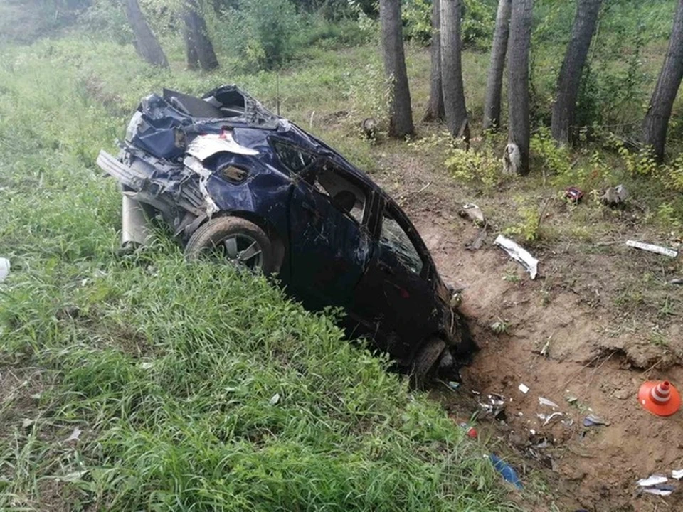 Под Тюменью авто с пьяными пассажирами нырнуло в кювет.