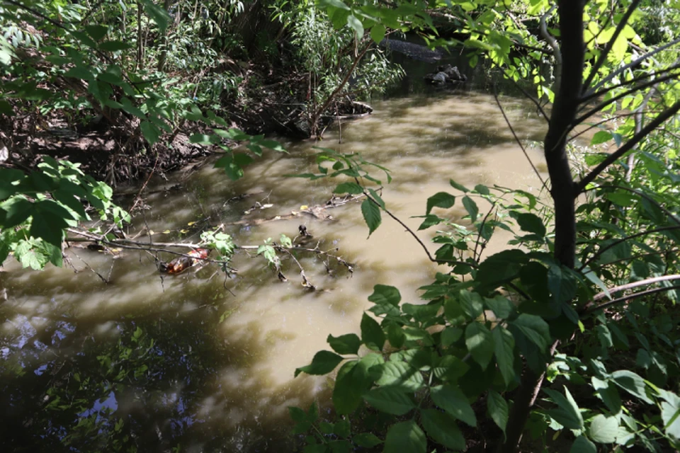 Вода в реке помутнела и приобрела неприятный запах. Фото: vk.com/onfkirov