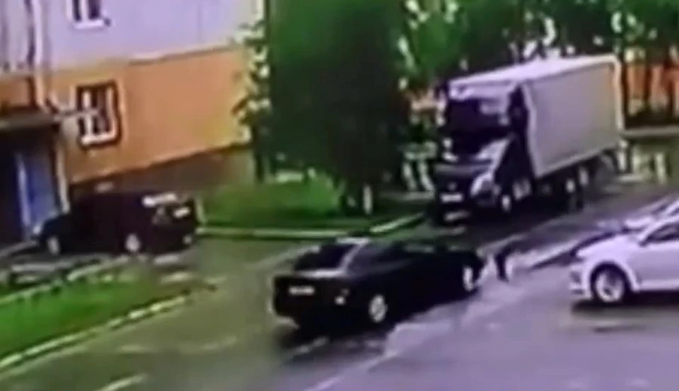 В Надыме водитель насмерть задавил собаку и уехал. Скриншот из видео.
