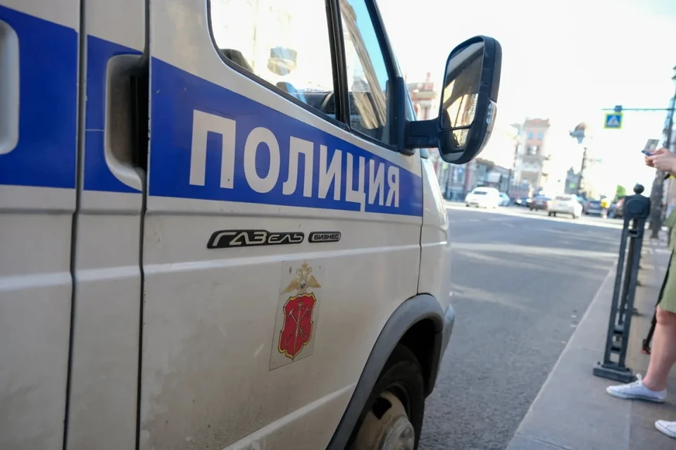 В Старой Ладоге пьяная троица набросилаь на полицейского на территории монастыря.