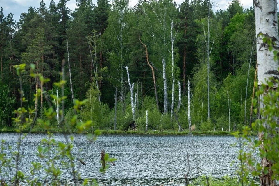 В реке Иня утонул пенсионер.