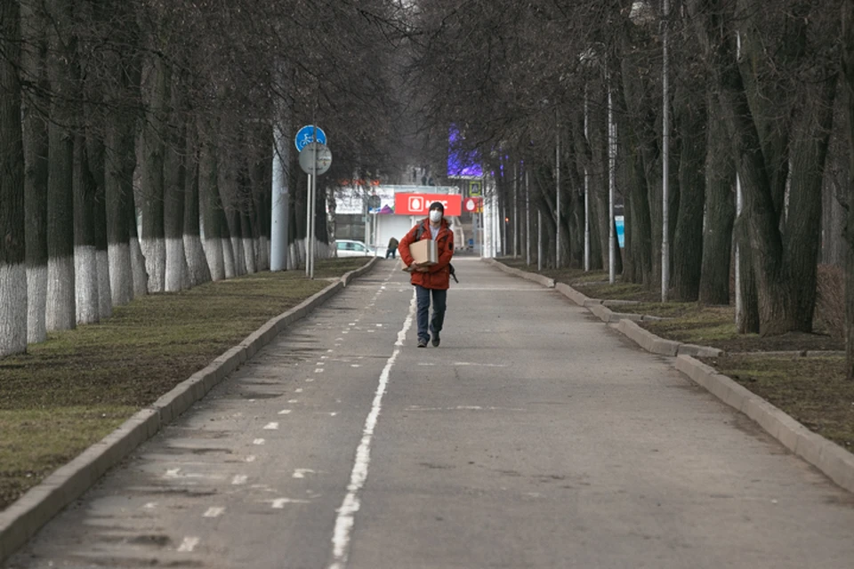 Хлорид водорода был обнаружен на улице Мира, а фенол - на Гафури