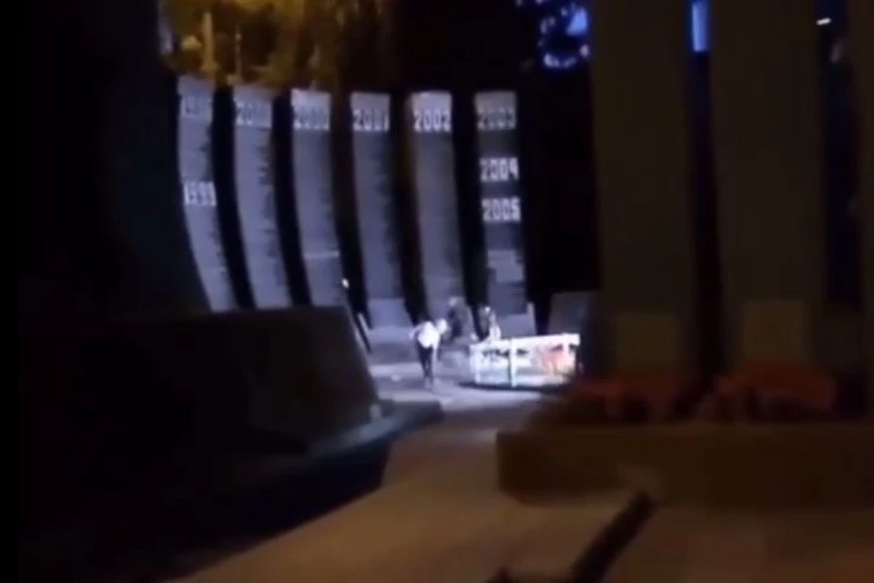 Ситуацией заинтересовались в полиции. Фото: кадр с видео