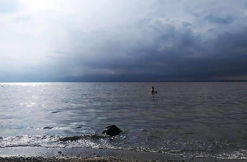 Не все оказались рады сюрпризу из моря.