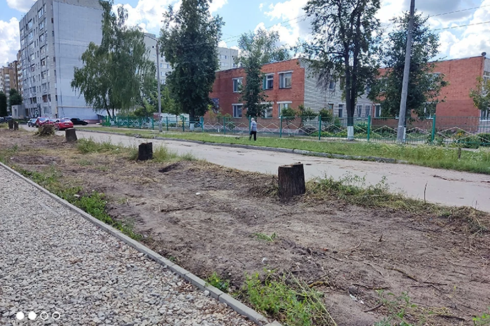 Фото: Ирина Семкина.
