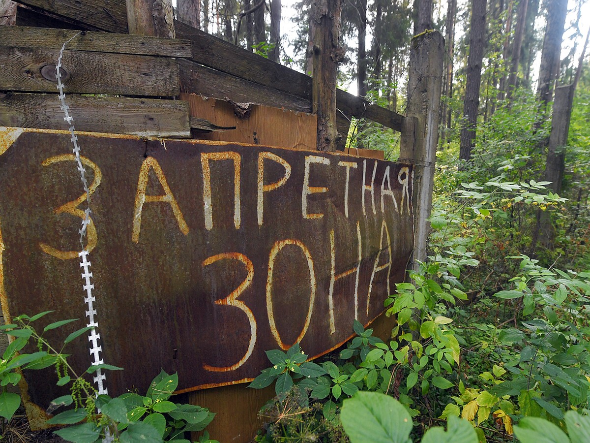 Снаряды на земле и тайная подземка: что стало с Нахабинским полигоном  инженерных войск в Подмосковье - KP.RU