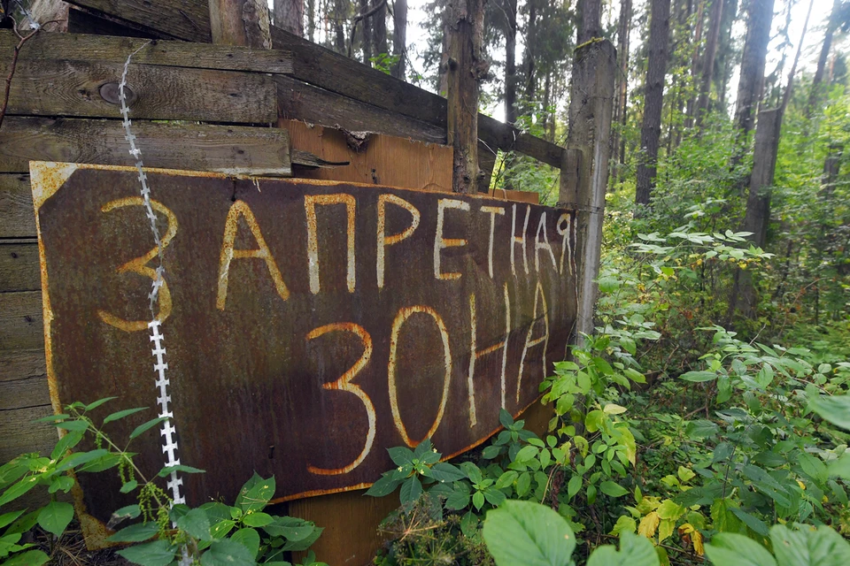 Джунгли парк, play room, Tula, Puteyskaya Street, 5к2 - Yandex Maps