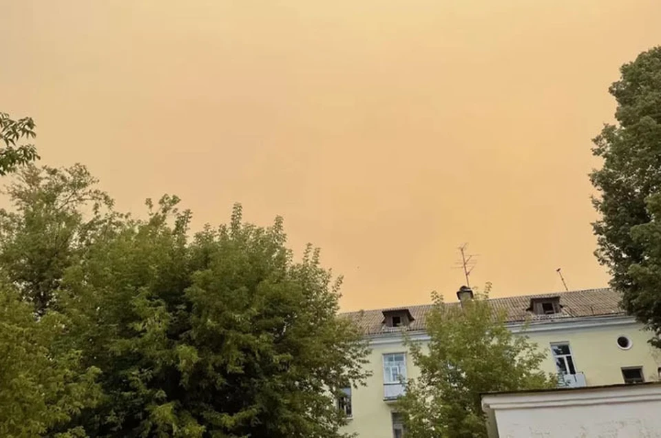 Режим ЧС ввели в Сарове из-за лесных пожаров.