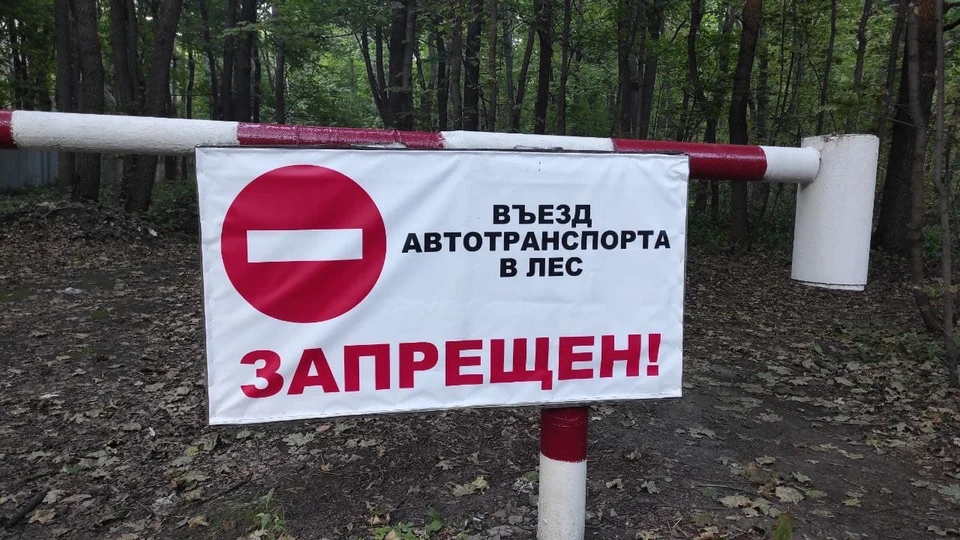 Леса в Саратовской области закрыты для въезда машин и массовых мероприятий