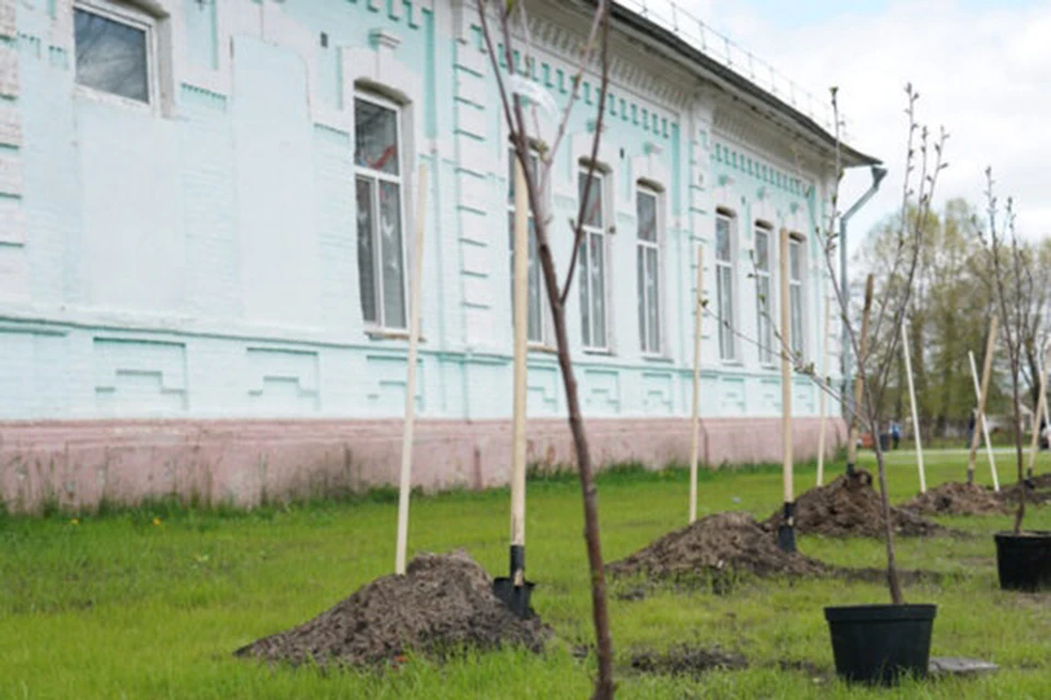 Фото: vk.com, "Клинцы. Диалог с городом".