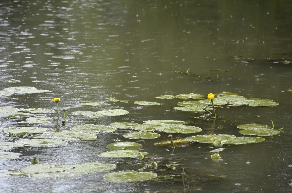 На дорогах до позднего вечера будет сохраняться вода