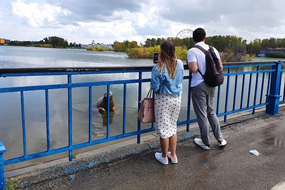 Уровень воды в реках Иркутска снизился. Фото: Андрей СИНЬКОВ