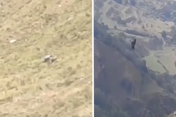 Фото: скриншот видео