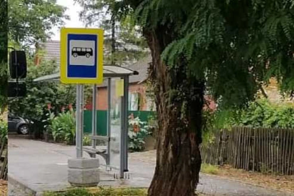 В Таганроге идет обрезка деревьев. Фото: МКУ "Благоустройство"