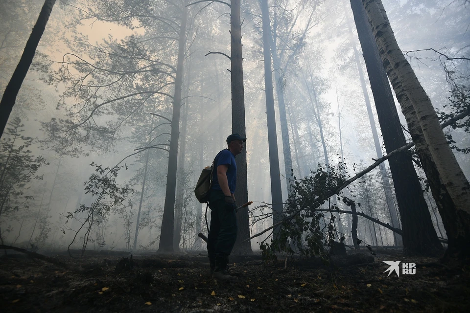 Спасатели говорят - лесной пожар опасен своей хитростью. А вкупе с ветром - просто непредсказуем