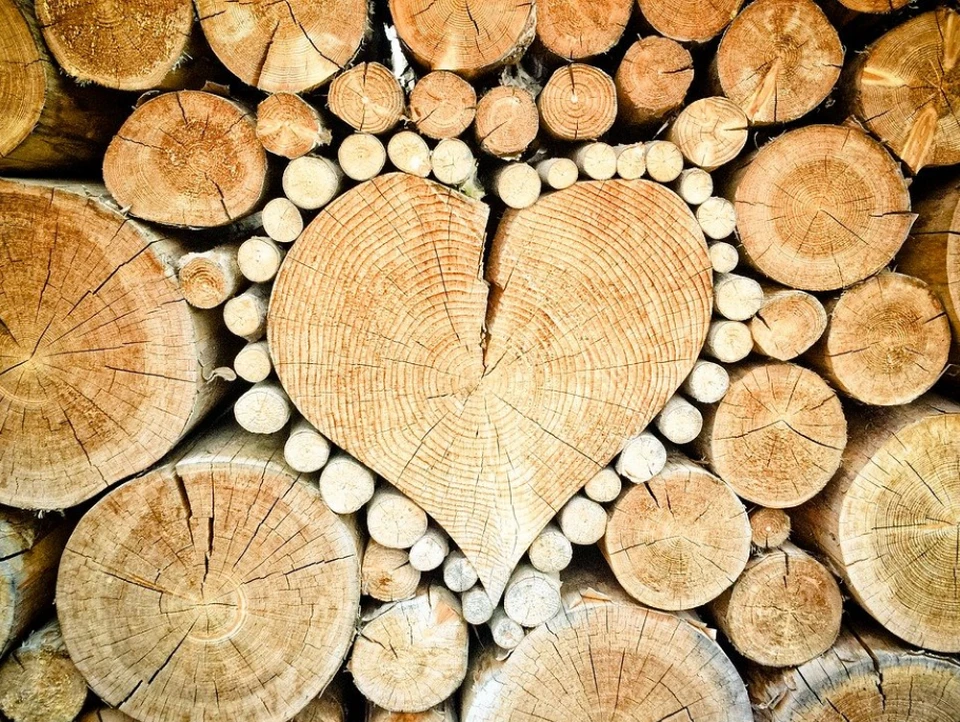 Фото: pixabay.com