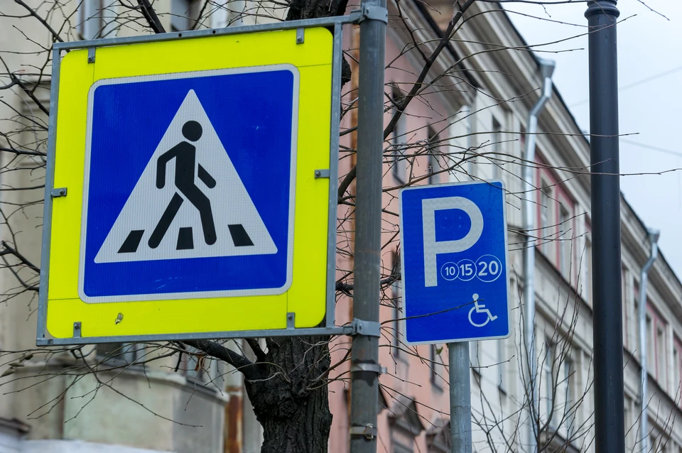 К началу учебного года светофоры и пешеходные переходы около школ Петербурга приведут в надлежащее состояние