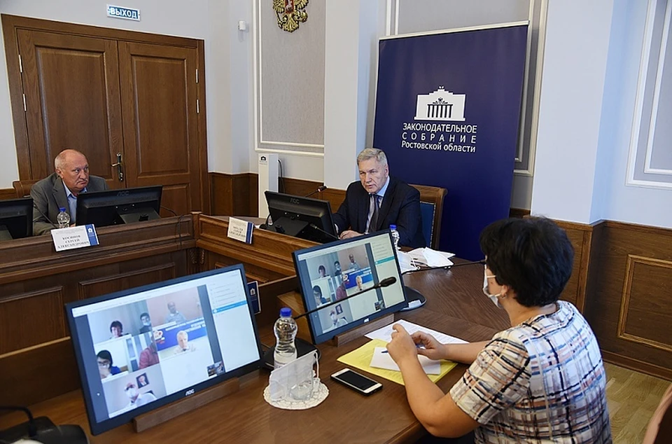В донском парламенте прошло заседание круглого стола на тему «О мерах поддержки семей с детьми». Фото: пресс-служба ЗС РО