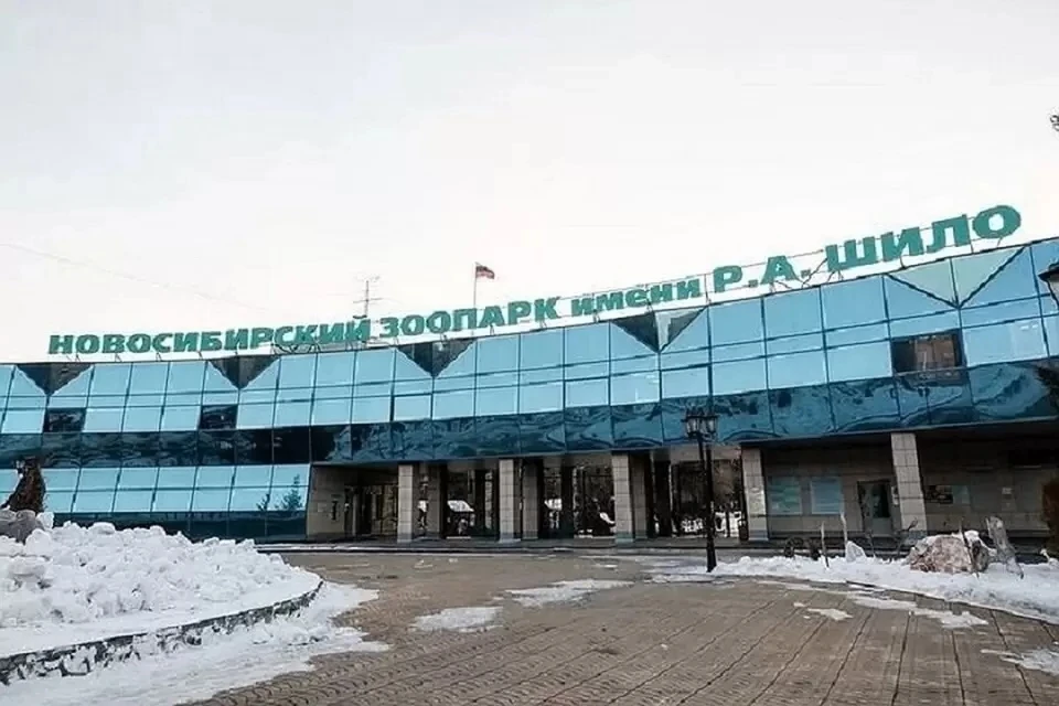 На место выезжала скорая помощь.