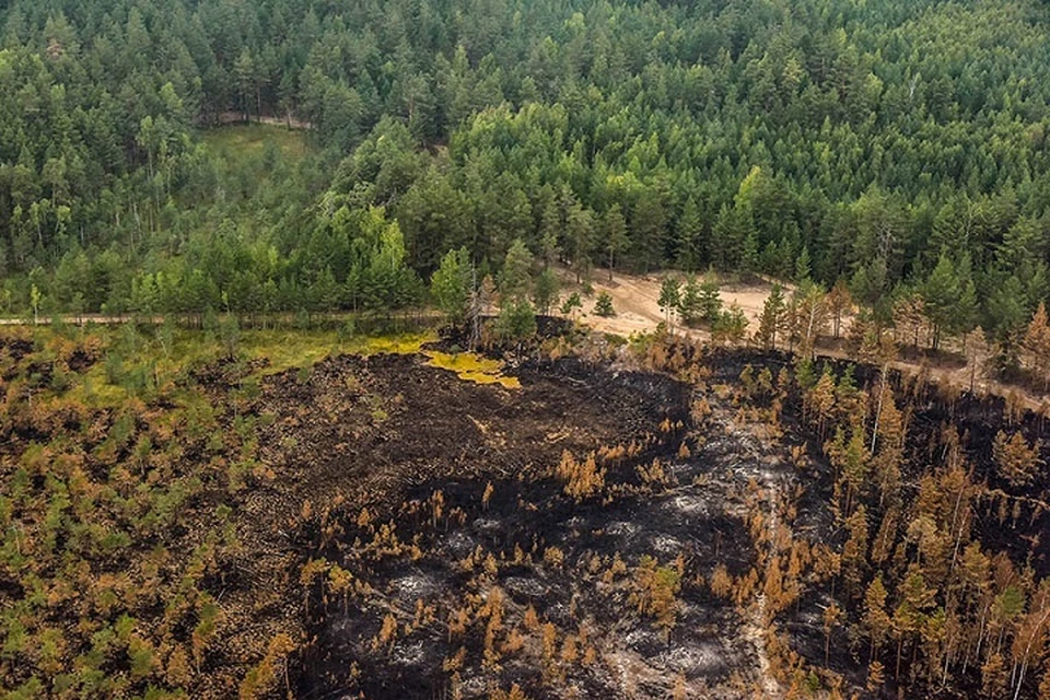 Для борьбы согнем в лесах в республике задействовано четыре вертолета. Фото: mari-el.gov.ru