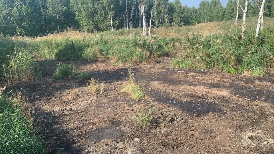 Куриный помет вывозили в поле. Фото: прокуратура Челябинской области
