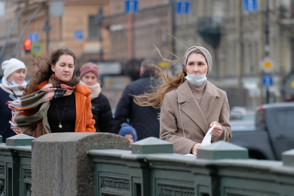 Сильный ветер поднимется в Петербурге 8 сентября