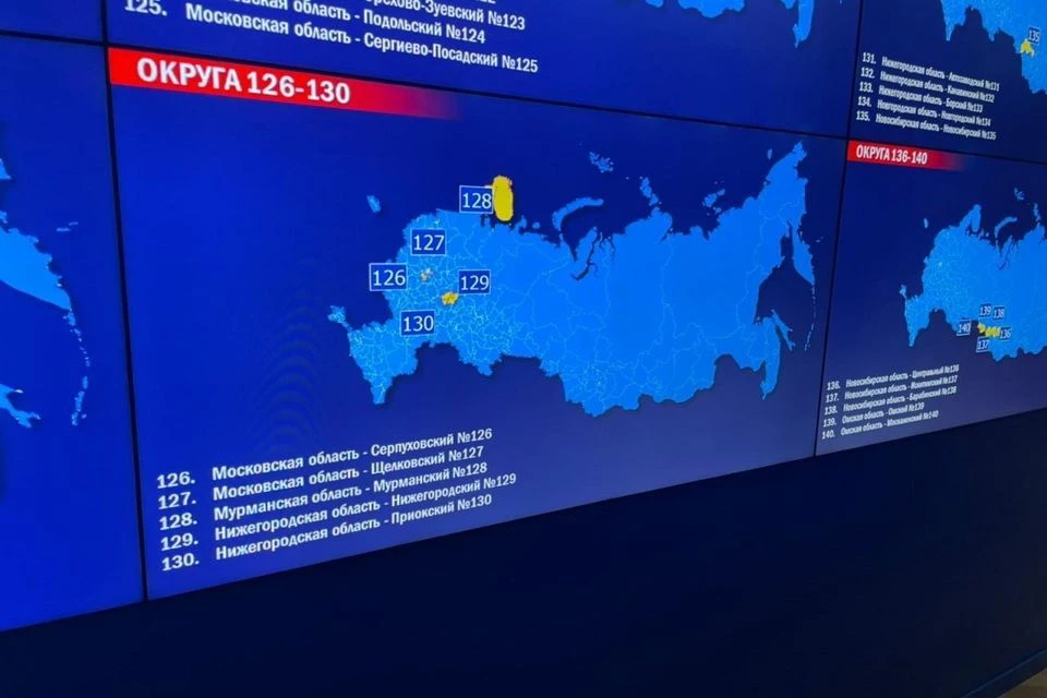Всего проголосовать дистанционно решили 1,8 миллионов россиян. Фото: Александра Михова