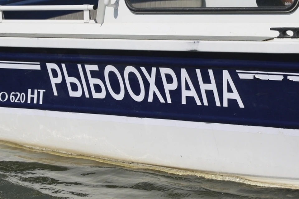 тематическое фото